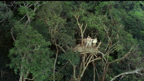 Fitzcarraldo_070