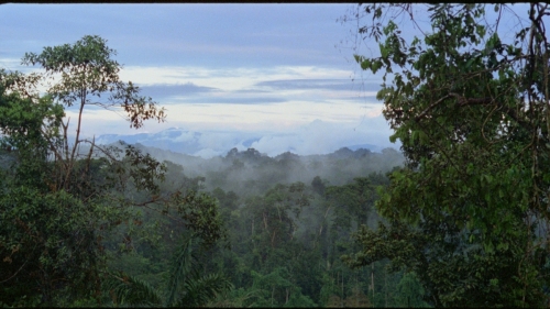 Fitzcarraldo_078